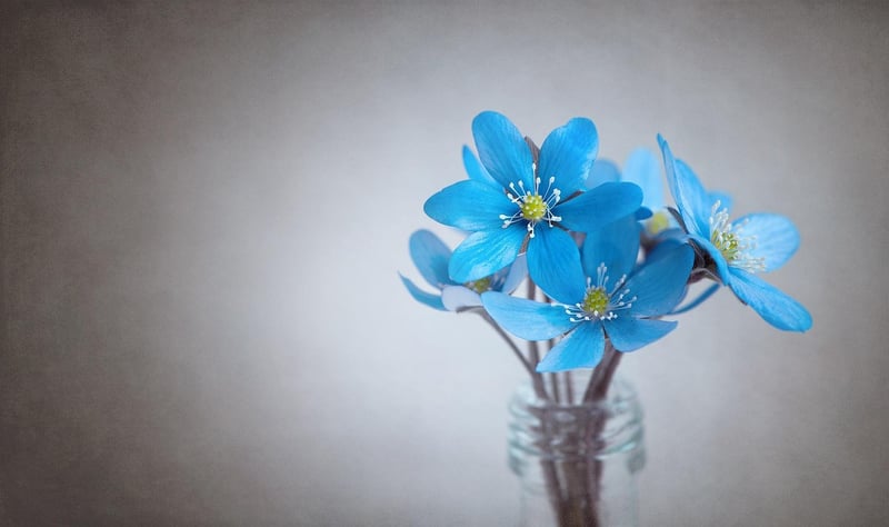 Whimsical Floral Arrangement